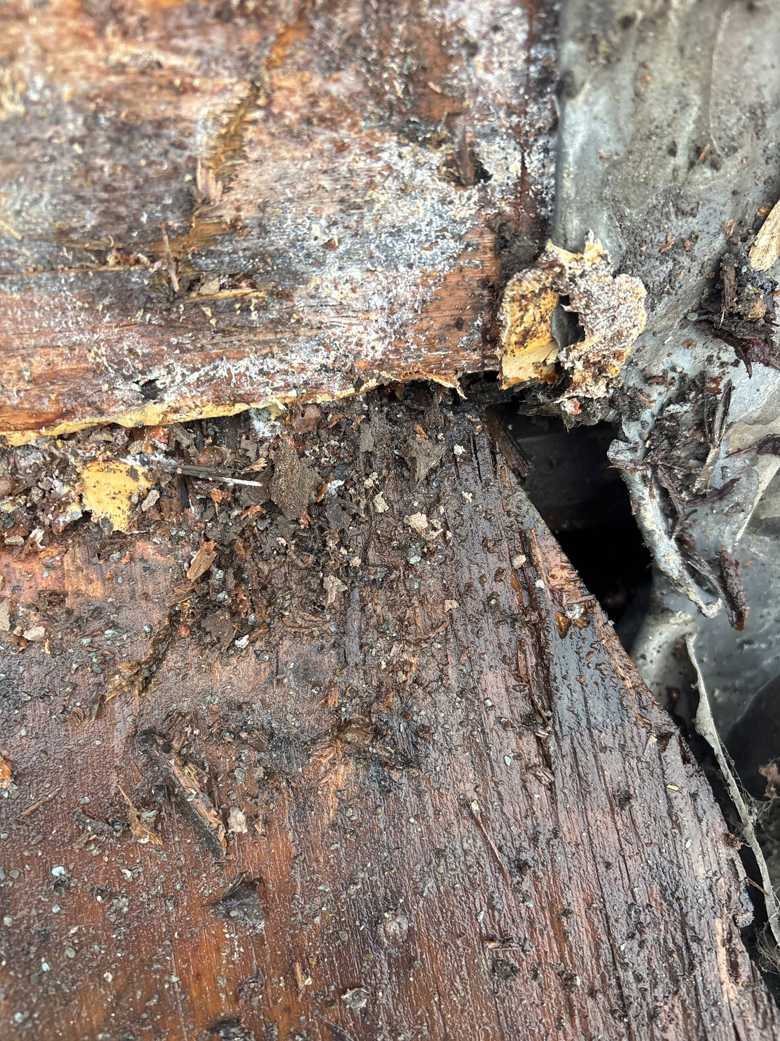 Groen Totaal Bouw BV Projecten 8